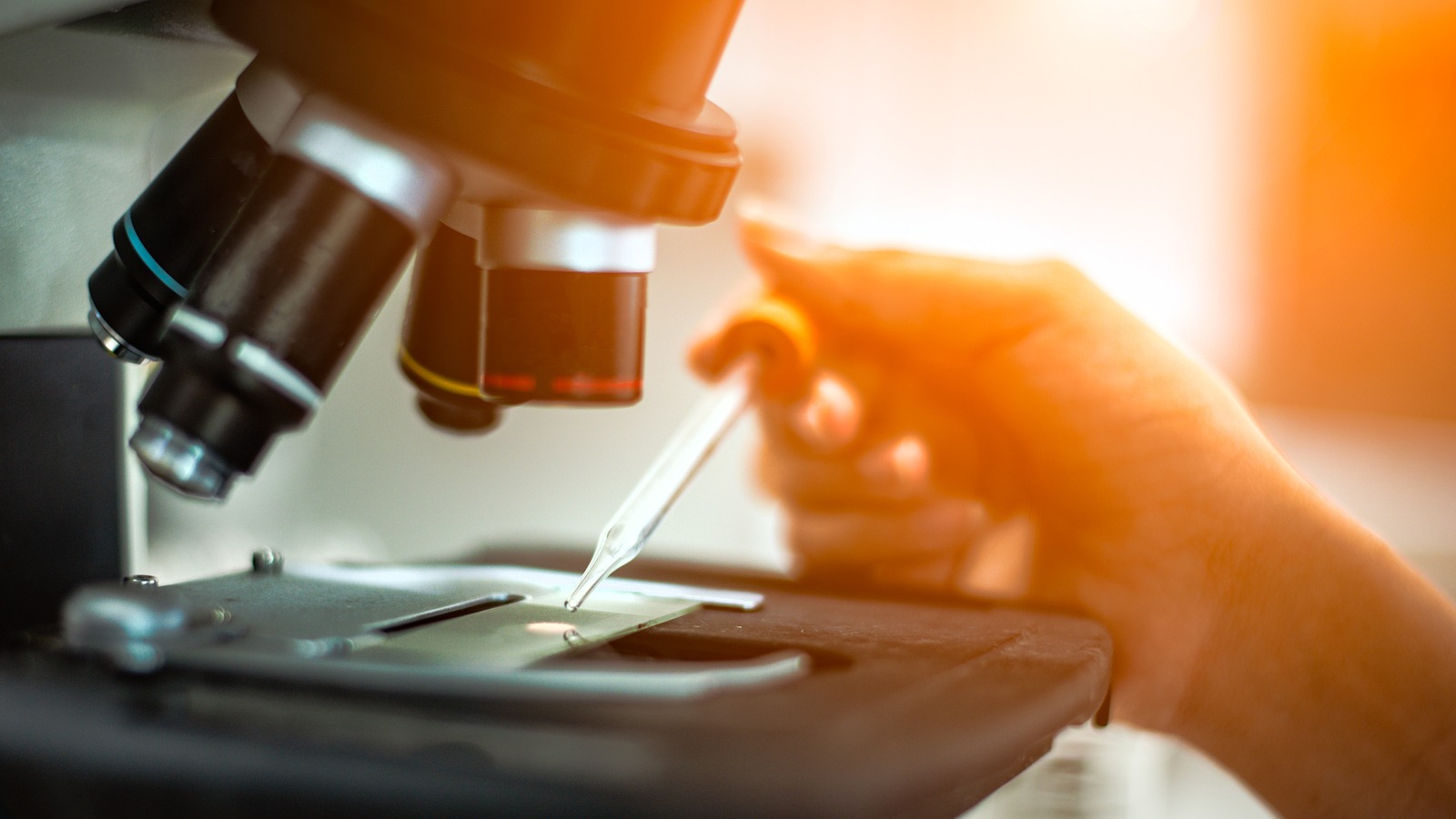 UK Research ‘Driving Global Life Science Industry’