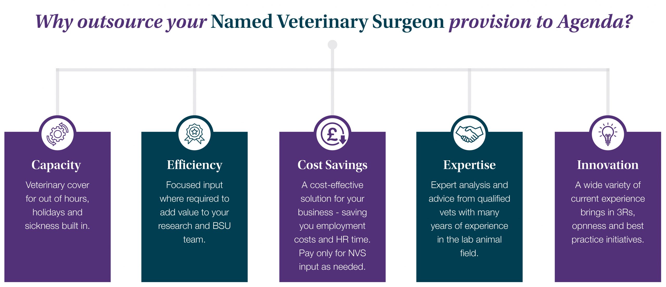Agenda Veterinary Services Named Veterinary Surgeons