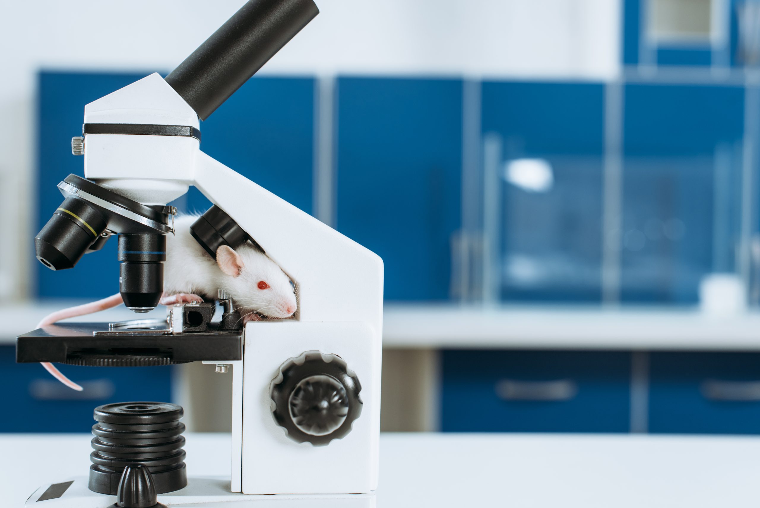 Discover Your Healthcare Calling Explore Life Changing Jobs At Bcbs Minnesota - tiuqo2w
